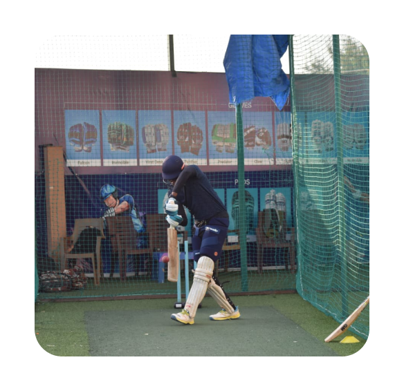 Cricket image